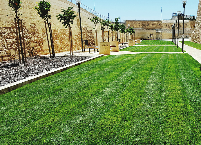 Zones Spéciales & Commerciales