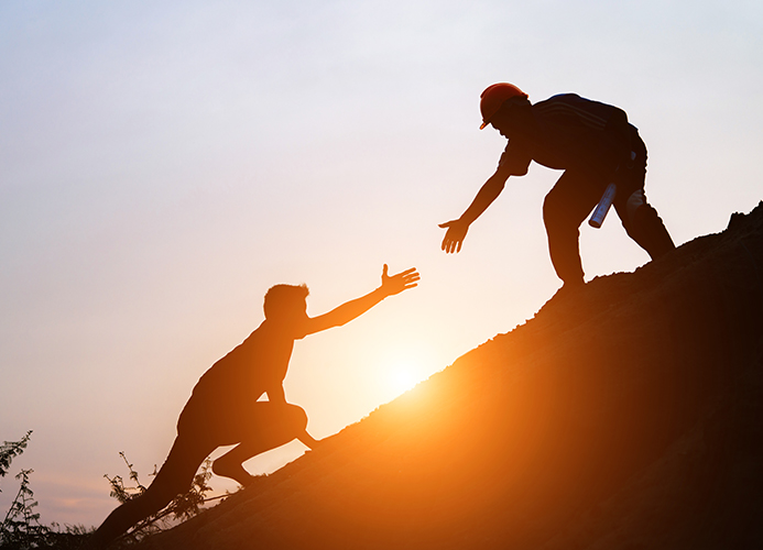 Наставничество и Поддержка