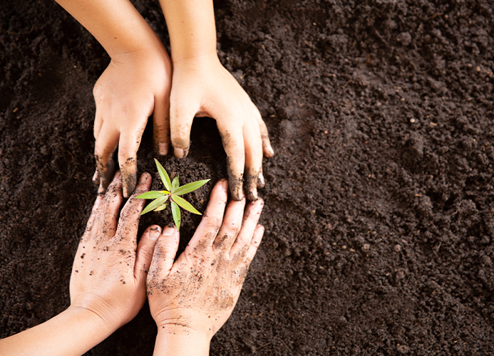 Социальная Ответственность