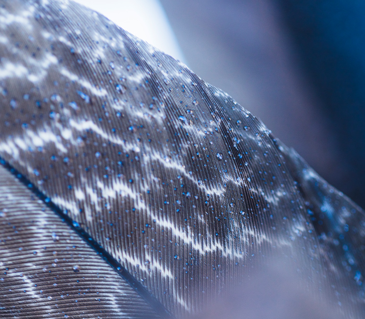 Светодиодные Решения